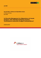 Ist Diversity Management im Allgemeinen als Ansatz geeignet, mehr Gleichberechtigung zwischen verschiedenen kulturellen Gruppen herbeizuführen? - Joel Will