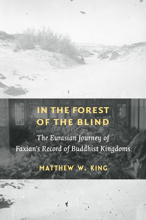 In the Forest of the Blind -  Matthew W. King