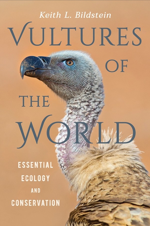 Vultures of the World -  Keith L. Bildstein