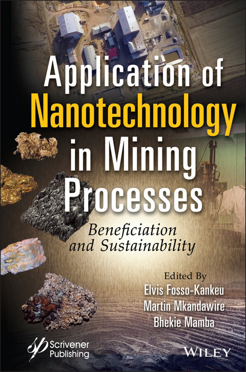 Application of Nanotechnology in Mining Processes - 