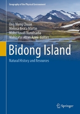 Bidong Island - 