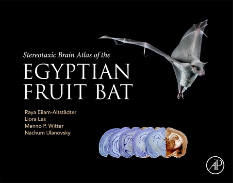 Stereotaxic Brain Atlas of the Egyptian Fruit Bat -  Raya Eilam-Altstadter,  Liora Las,  Nachum Ulanovsky,  Menno Witter