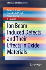 Ion Beam Induced Defects and Their Effects in Oxide Materials - Parmod Kumar, Jitendra Pal Singh, Vinod Kumar, K. Asokan