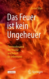 Das Feuer ist kein Ungeheuer -  Cornel Stan