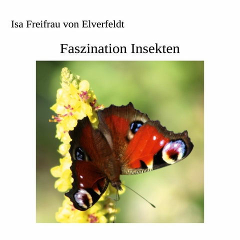Faszination Insekten - Isa Freifrau von Elverfeldt