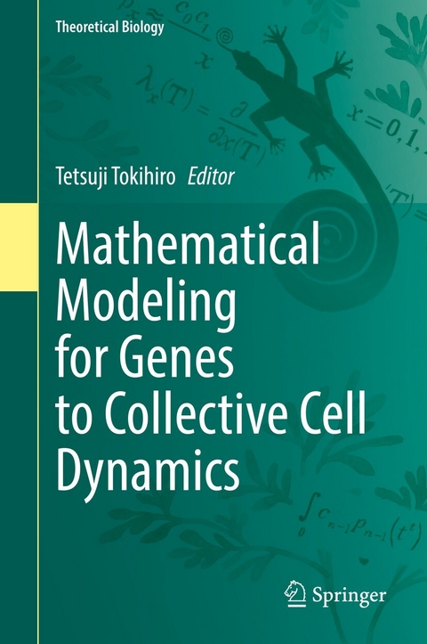 Mathematical Modeling for Genes to Collective Cell Dynamics - 