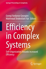 Efficiency in Complex Systems - 
