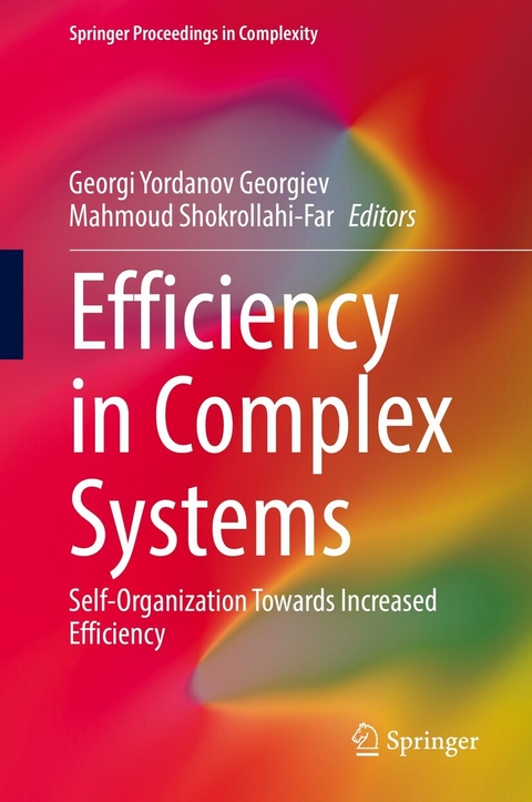 Efficiency in Complex Systems - 