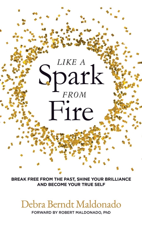 Like a Spark From Fire - Debra Berndt Maldonado