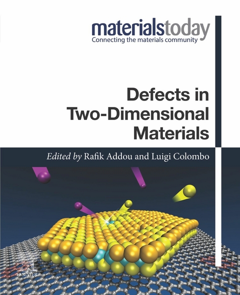 Defects in Two-Dimensional Materials - 