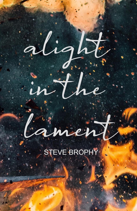 alight in the lament -  Steve Brophy