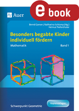 Begabte Kinder individuell fördern, Mathe Band 1 -  H.Tiefenthaler