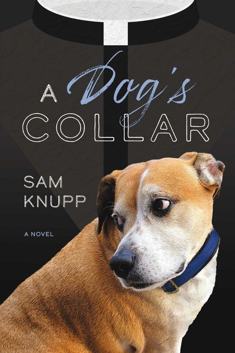 Dog's Collar -  Sam Knupp