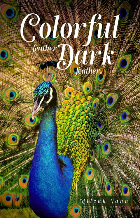 Colorful feather, Dark feather -  Milcah Yann