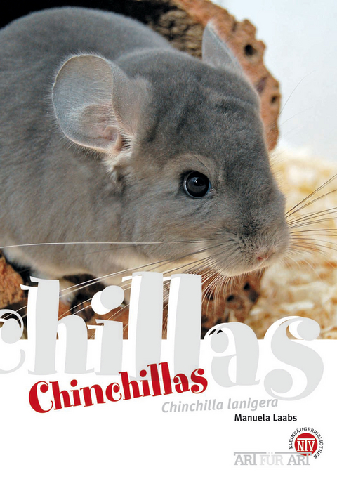 Chinchillas - Manuela Laabs