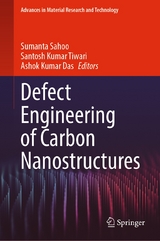 Defect Engineering of Carbon Nanostructures - 
