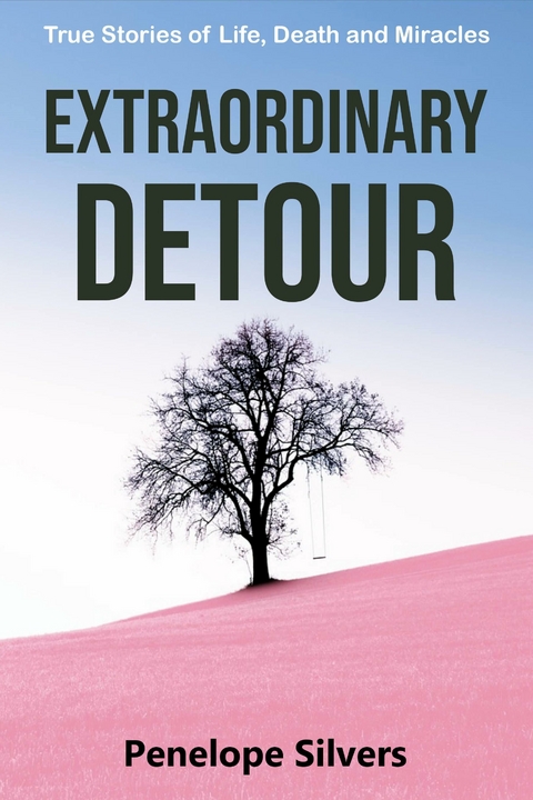 Extraordinary Detour -  Penelope Silvers
