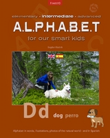 Intermediate Alphabet : Intermediate Alphabet for our smart kids -  Bogdan Kladnik