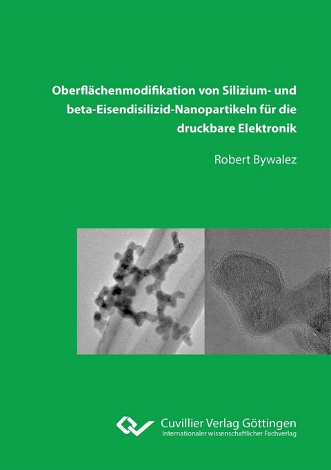 Oberfl&#xE4;chenmodifikation von Silizium&#x2010; und beta&#x2010;Eisendisilizid&#x2010;Nanopartikeln f&#xFC;r die druckbare Elektronik -  Robert Bywalez