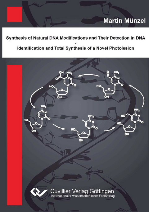 Synthese nat&#xFC;rlicher DNA Modifikationen und deren Detektion in DNA - Identifikation und Totalsynthese eines neuartigen DNA Photoschadens -  Martin M&  #xFC;  nzel