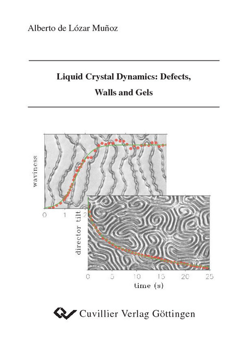 Liquid Crystal Dynamics: Defects, Walls and Gels -  Alberto de L&  #xF3;  zar Mu&  #xF1;  oz