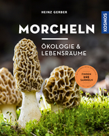 Morcheln - Heinz Gerber