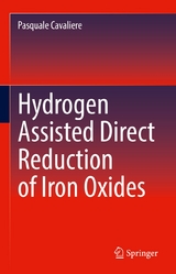 Hydrogen Assisted Direct Reduction of Iron Oxides -  Pasquale Cavaliere