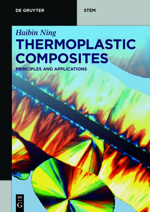 Thermoplastic Composites -  Haibin Ning