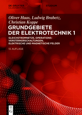 Gleichstromnetze, Operationsverstärkerschaltungen, elektrische und magnetische Felder -  Ludwig Brabetz,  Christian Koppe,  Oliver Haas