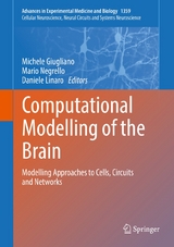 Computational Modelling of the Brain - 