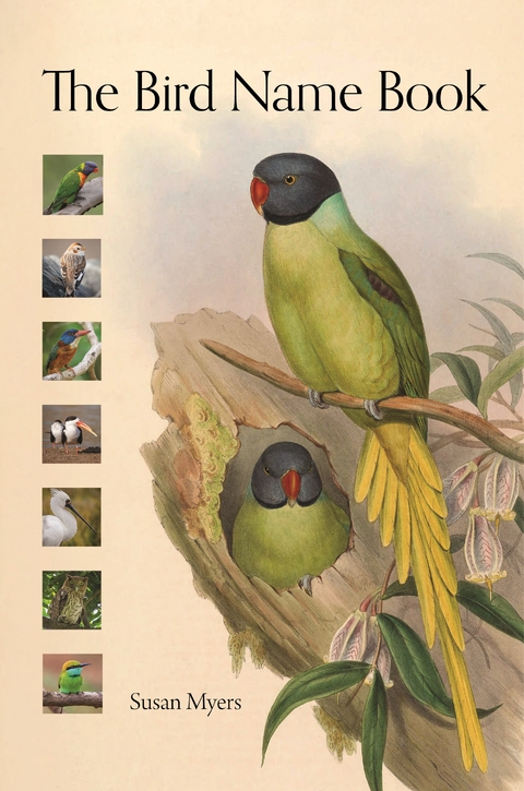 Bird Name Book -  Susan Myers