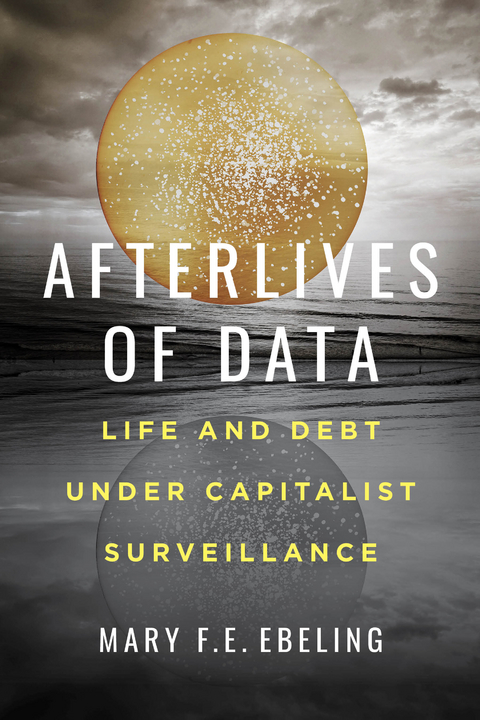 Afterlives of Data - Mary F.E. Ebeling