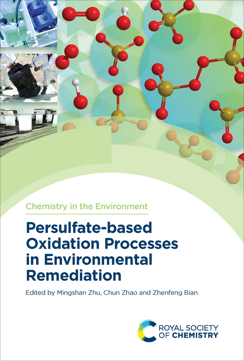 Persulfate-based Oxidation Processes in Environmental Remediation - 