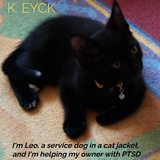I'm Leo, a service dog in a cat jacket, and I'm helping my owner with PTSD - K. Eyck