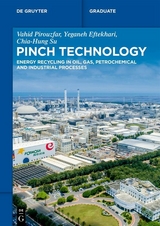 Pinch Technology - Vahid Pirouzfar, Yeganeh Eftekhari, Chia-Hung Su