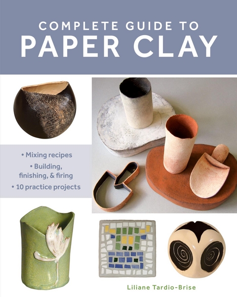 Complete Guide to Paper Clay -  Liliane Tardio-Brise