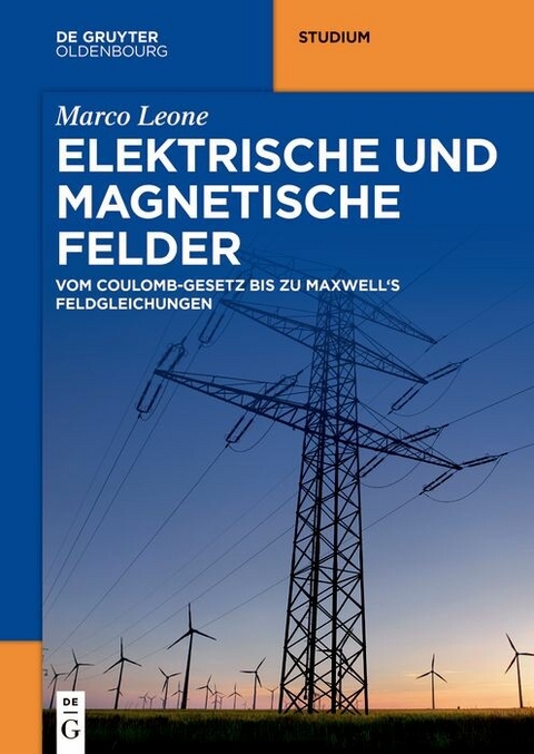 Elektrische und magnetische Felder -  Marco Leone
