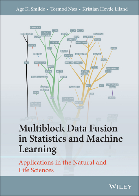 Multiblock Data Fusion in Statistics and Machine Learning -  Kristian Hovde Liland,  Age K. Smilde,  Tormod N s