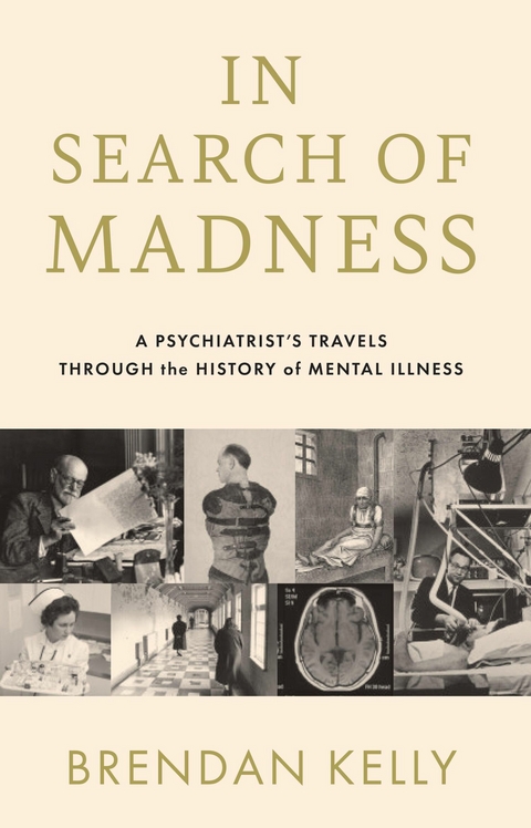 In Search of Madness - Brendan Kelly