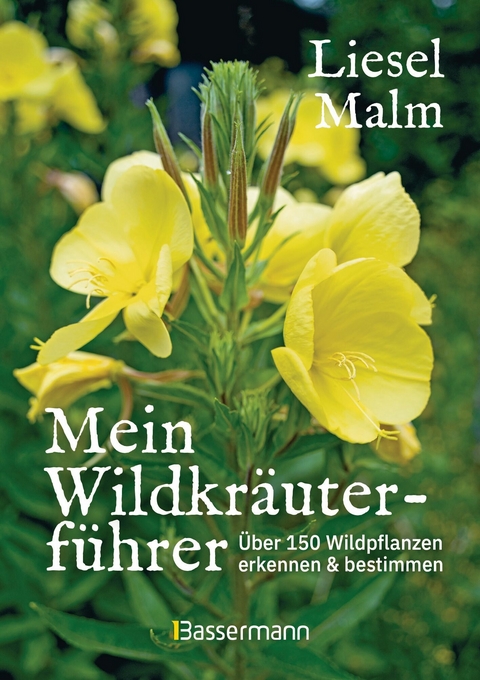Mein Wildkräuterführer. Über 150 Wildpflanzen sammeln, erkennen & bestimmen. -  Liesel Malm
