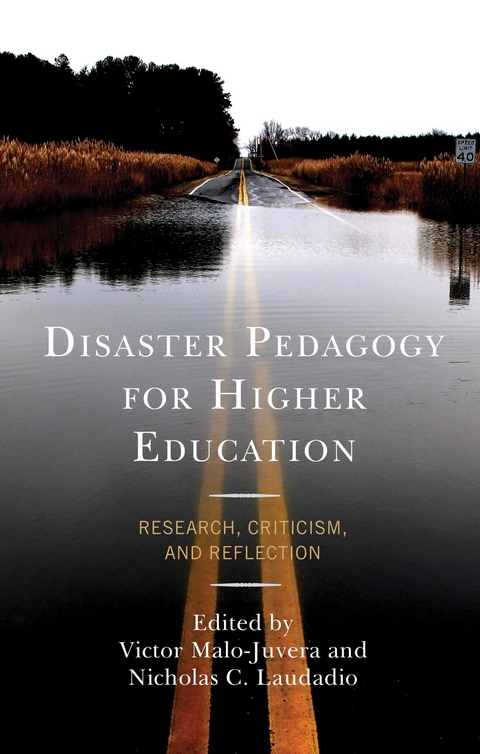 Disaster Pedagogy for Higher Education - 