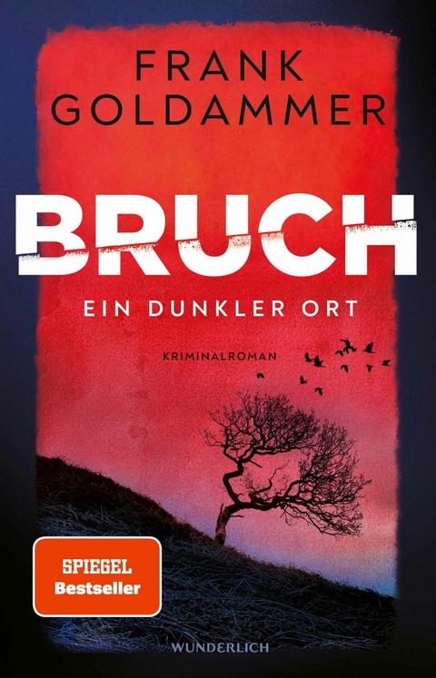 Bruch: Ein dunkler Ort -  Frank Goldammer