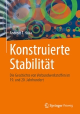 Konstruierte Stabilität - Andreas T. Haka