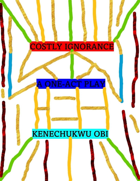 Costly Ignorance - Kenechukwu Obi
