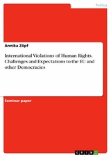 International Violations of Human Rights. Challenges and Expectations to the EU and other Democracies - Annika Zöpf