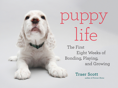 Puppy Life - Traer Scott