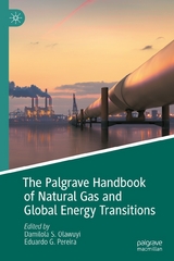 The Palgrave Handbook of Natural Gas and Global Energy Transitions - 