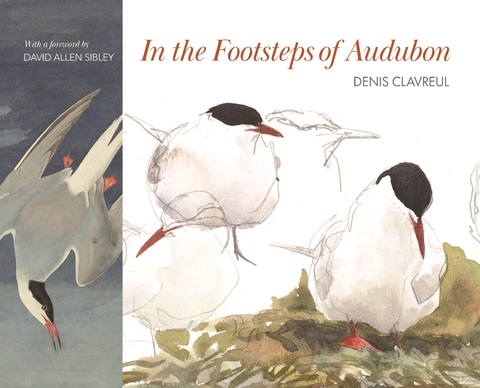 In the Footsteps of Audubon -  Denis Clavreul