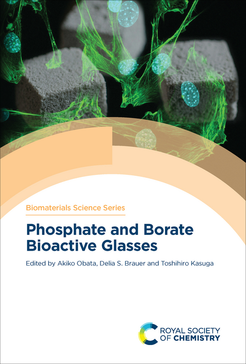 Phosphate and Borate Bioactive Glasses - 