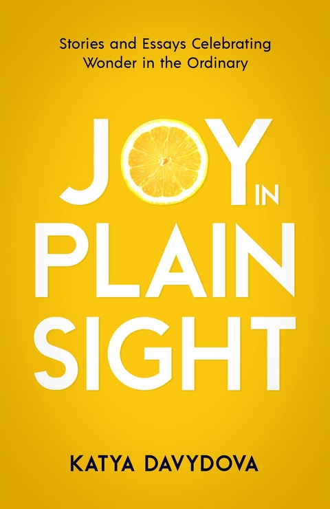 Joy in Plain Sight -  Katya Davydova